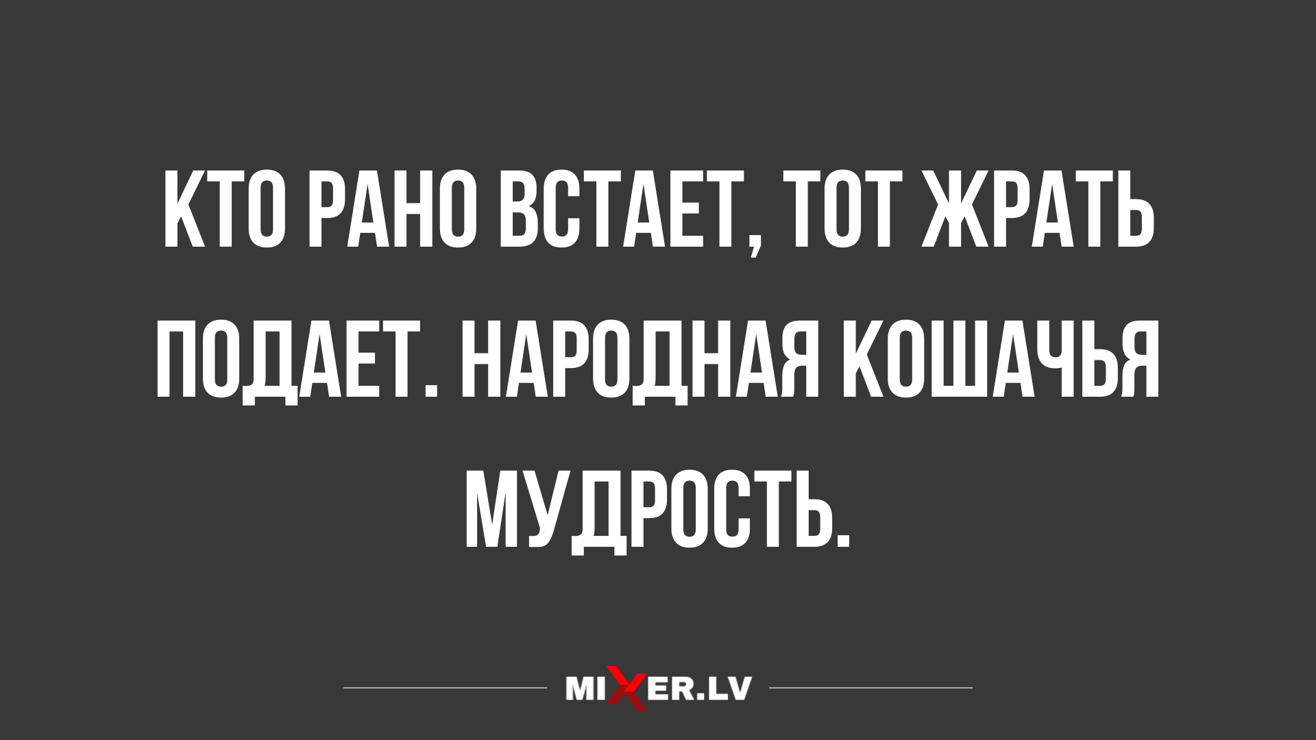 юмор для настроения