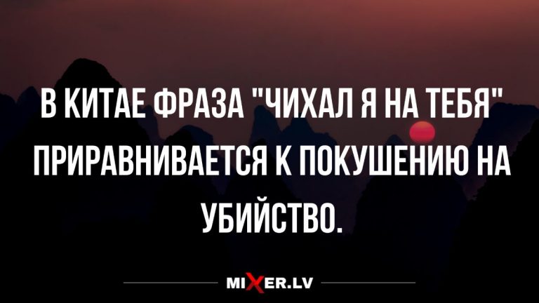 Свежие анекдоты за сегодня