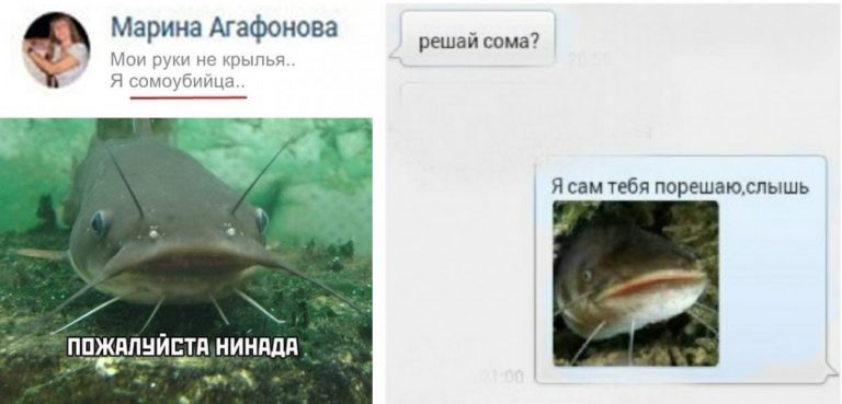 «Буду рожать сома» и другие истории от грамотеев из сети