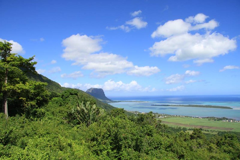 Веб-дизайнер из Латвии перевозил в себе героин, его задержали на Маврикии