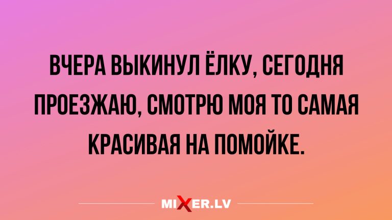 Анекдоты на вечерок и гордость за свою ёлку