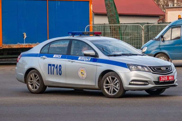 В Белорусии задержали двух горе-угонщиков: один просил помощи прохожего, другой угодил в кювет