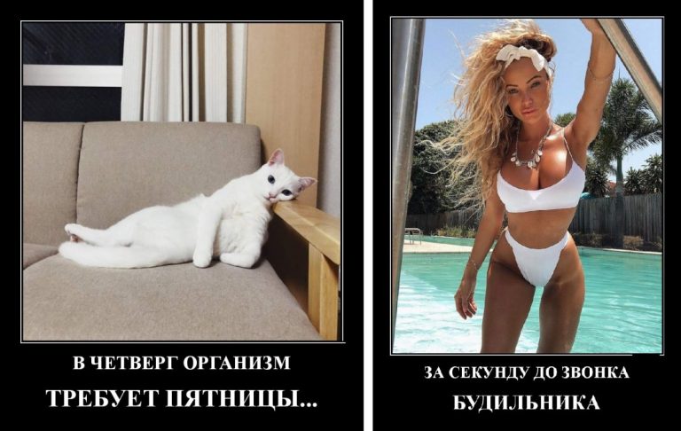 Демотиваторы дня и когда душа уже требует пятницу