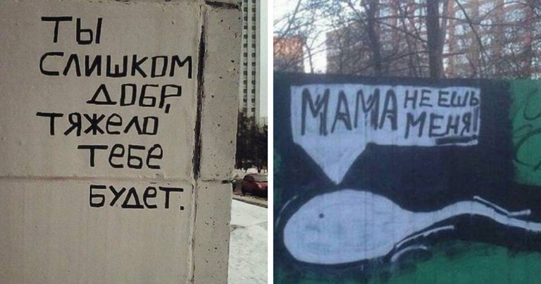 20 примеров народной мудрости и креатива из надписей на заборах