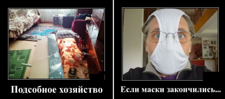 Новые демотиваторы и подсобное хозяйство