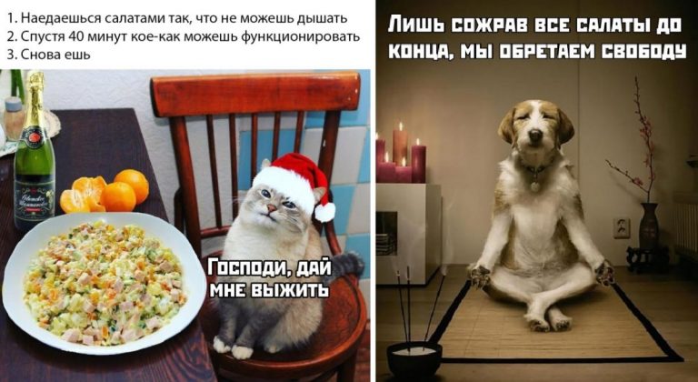 Прикольные картинки на утро и обретение свободы