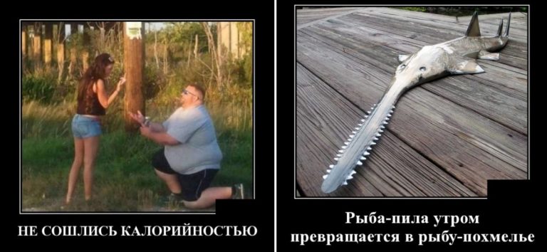 Демотиваторы на вечер и не сошлись колорийностью