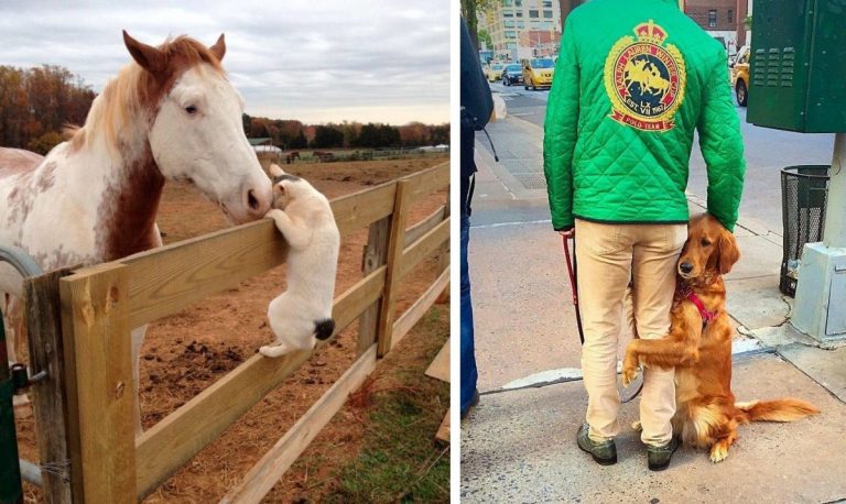 25 красноречивых фотографий, которые говорят сами за себя