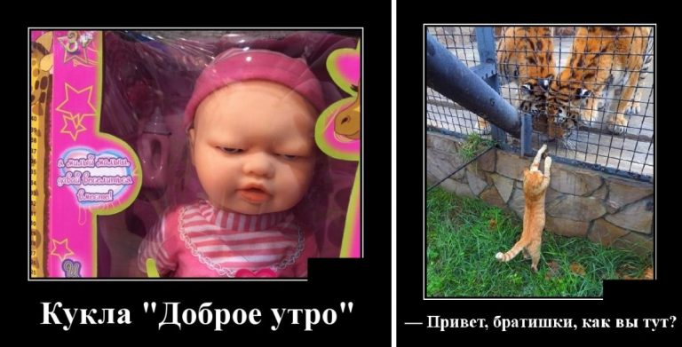 Демотиваторы в среду и доброе утро