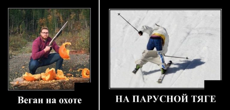 Демотиваторы за сегодня и веган на охоте