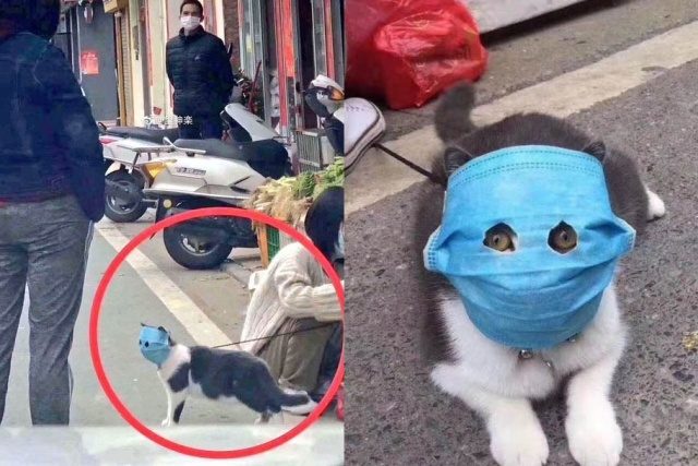 Прикольные картинки во вторник и когда у тебя осталось только 1 из 9 жизней