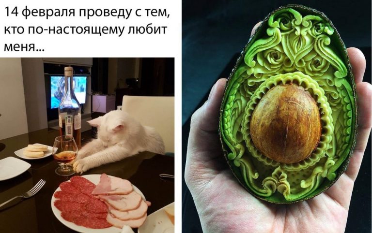 Фото приколы среды на любой вкус и картинки с надписями