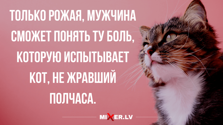 свежие анекдоты и юмор на утро среды