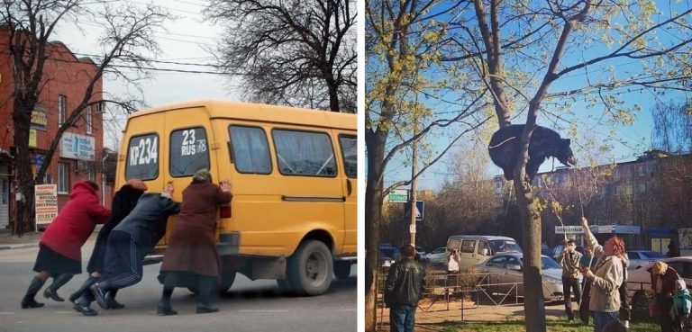 15 необычных и колоритных примеров, почему «умом Россию не понять»