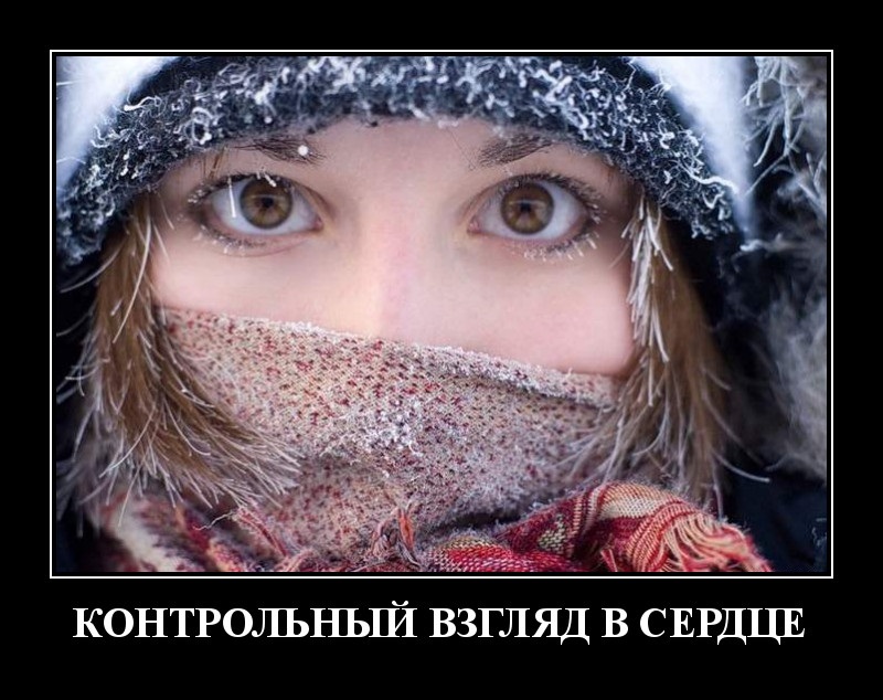 Демотиваторы четверга и контрольный взгляд в сердце