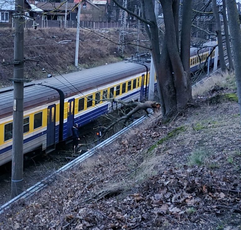 Упавшие деревья и дорожные знаки. Спасатели призывают звонить по телефону 112