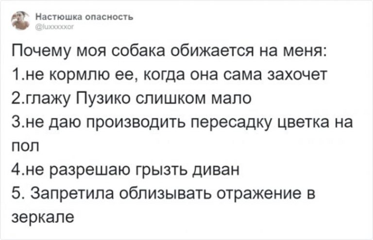 «За что на меня обиделась собака?» : флешмоб в триттере показывающий, то даже с лучшим другом человека можно испортить отношения