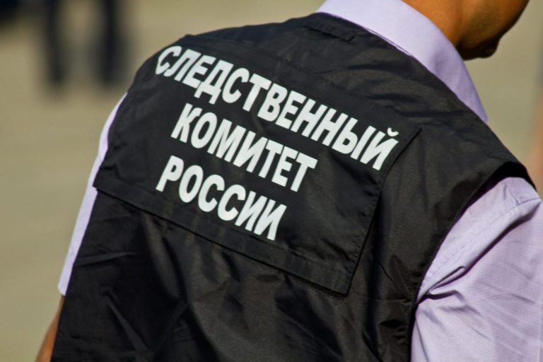 Российскую школьницу обвинили в убийстве бабушки за замечание