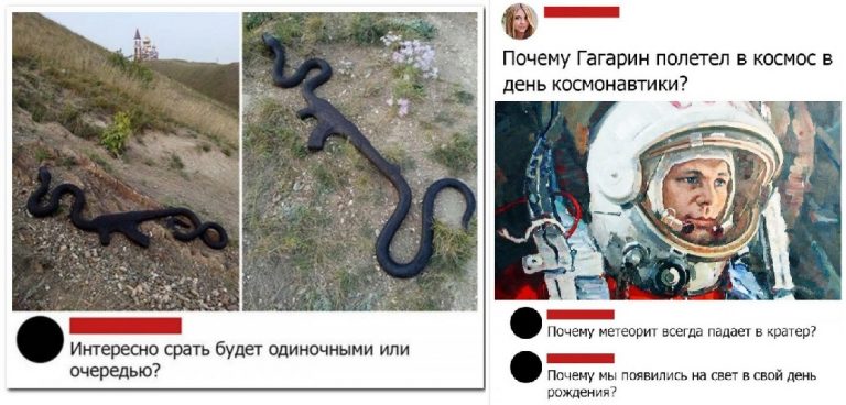 Забавные комментарии из социальных сетей и горные обезьяны