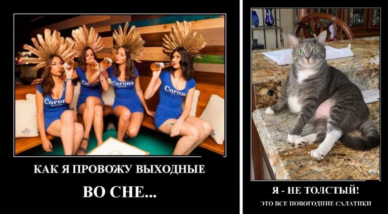 Демотиваторы и как я провожу выходные во сне