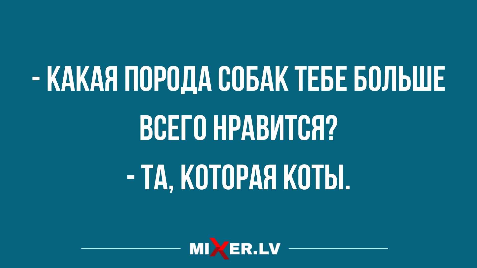 вечерние анекдоты от 20 февраля