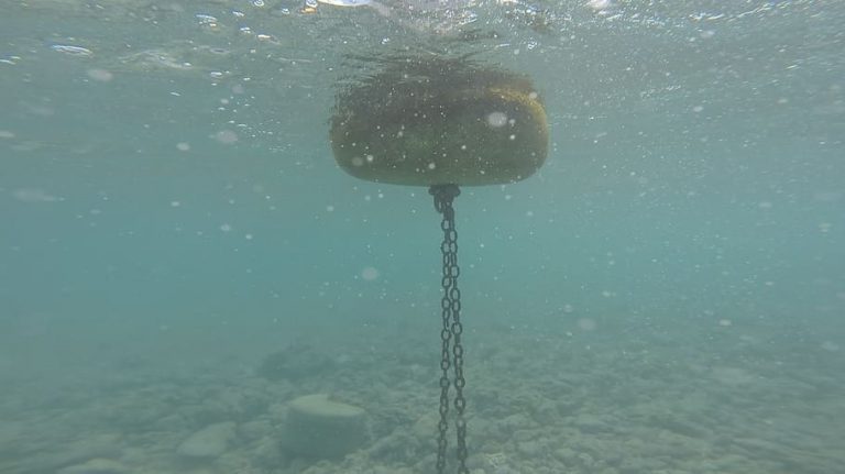 Вчера из водоема был поднят утопленник