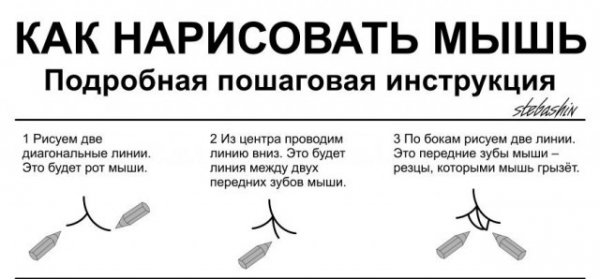 Как нарисовать мышь, инструкция для пошляков