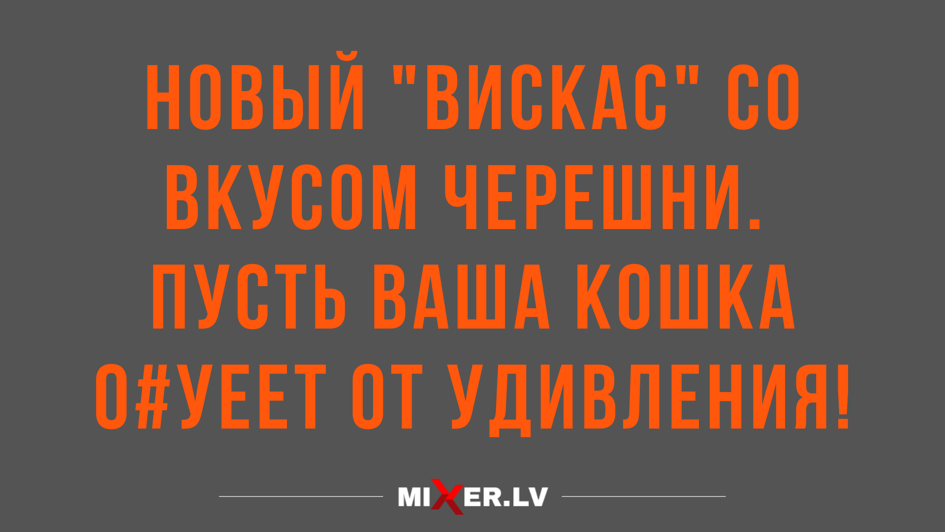 новые лучшие анекдоты и шуточки