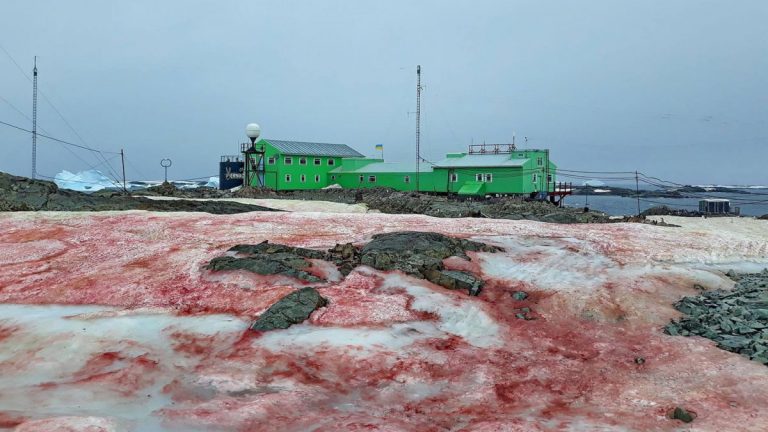 Красный снег накрыл станцию украинских полярников в Антарктиде (ФОТО)