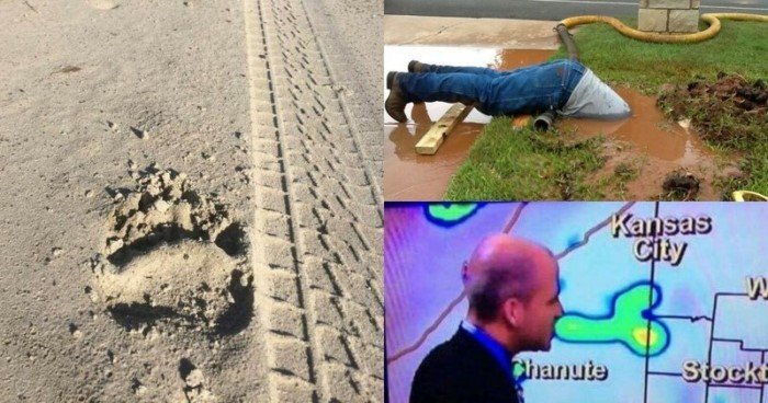 20 нескучных ситуаций, в которые люди попали на своей работе