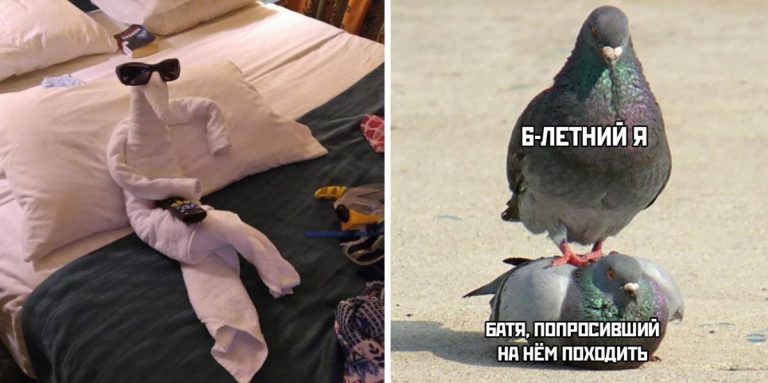 Фото приколы от 1 марта