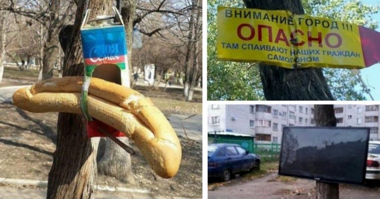 20 примеров особой доброты и заботы о своем ближнем