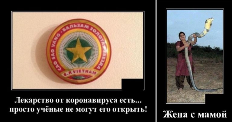 Демотиваторы на вечер и лекарство от коронавируса