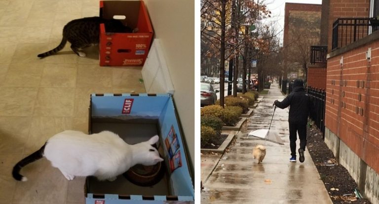 20 человек, у которых столько смекалки, что на всех хватит. Фантастическая изобретательность