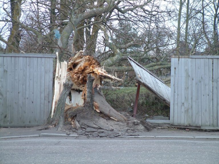 Уровень предупреждения из-за бури в Курземе поднят до красного