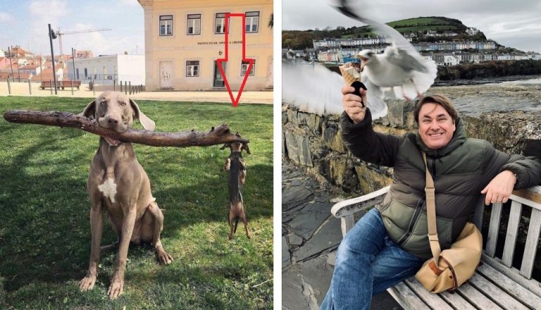 20 фотографий, которые были бы обычными, если бы не их маленькая драматичность