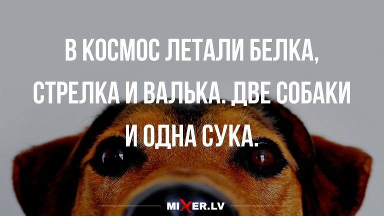 анекдоты и прикольные картинки