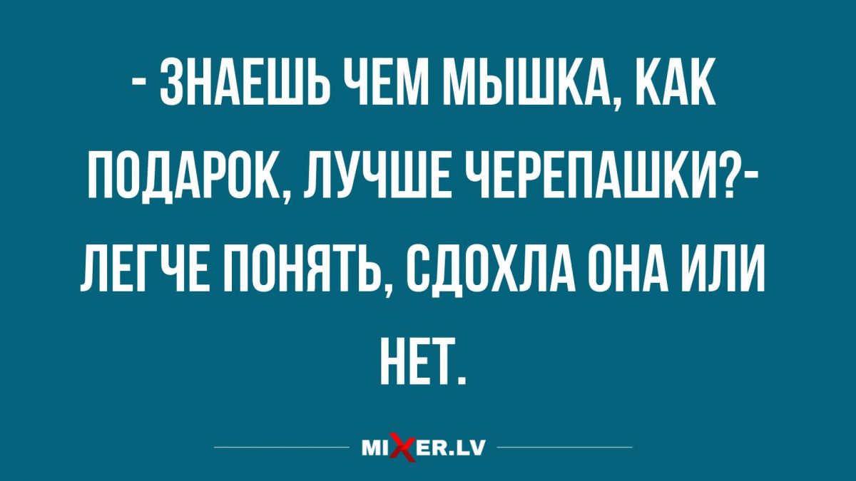 новые лучшие анекдоты в пятницу