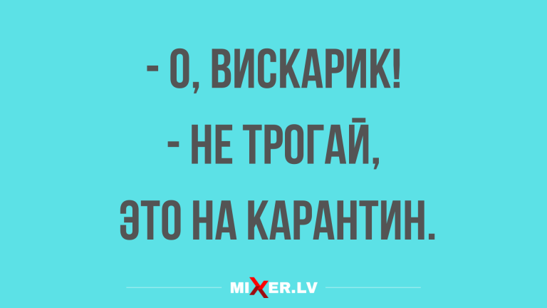 Свежие анекдоты с юмором и вискарик про запас