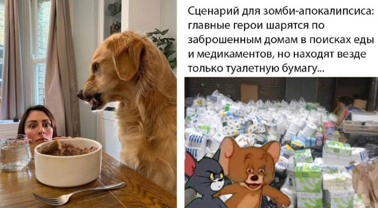 Прикольные картинки и мемы за сегодня