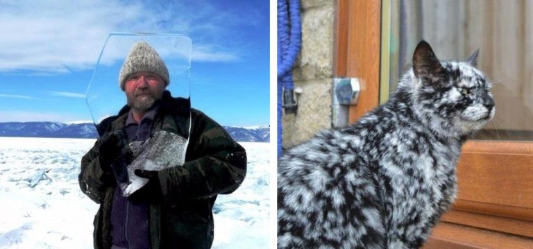26 фотографий способных перевернуть ваш взгляд на, казалось бы, обычные вещи