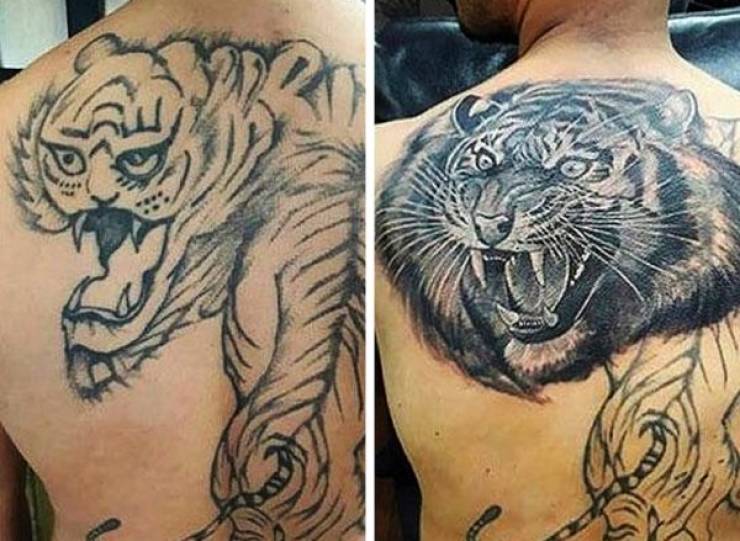 25 фото из вашей любимой рубрики «сравни до и после»!