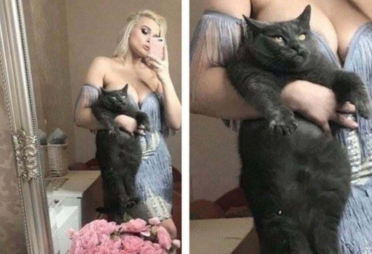 Фото приколы за сегодня и котики на мягком