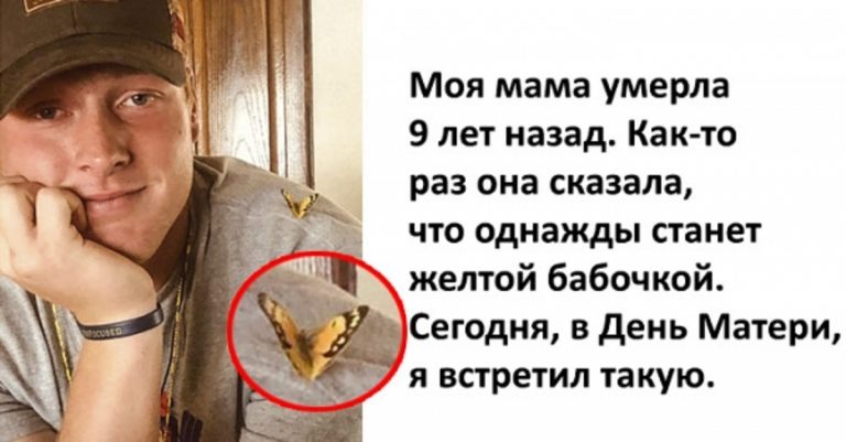 15 мощных фото, которые затронут самые тонкие струны души