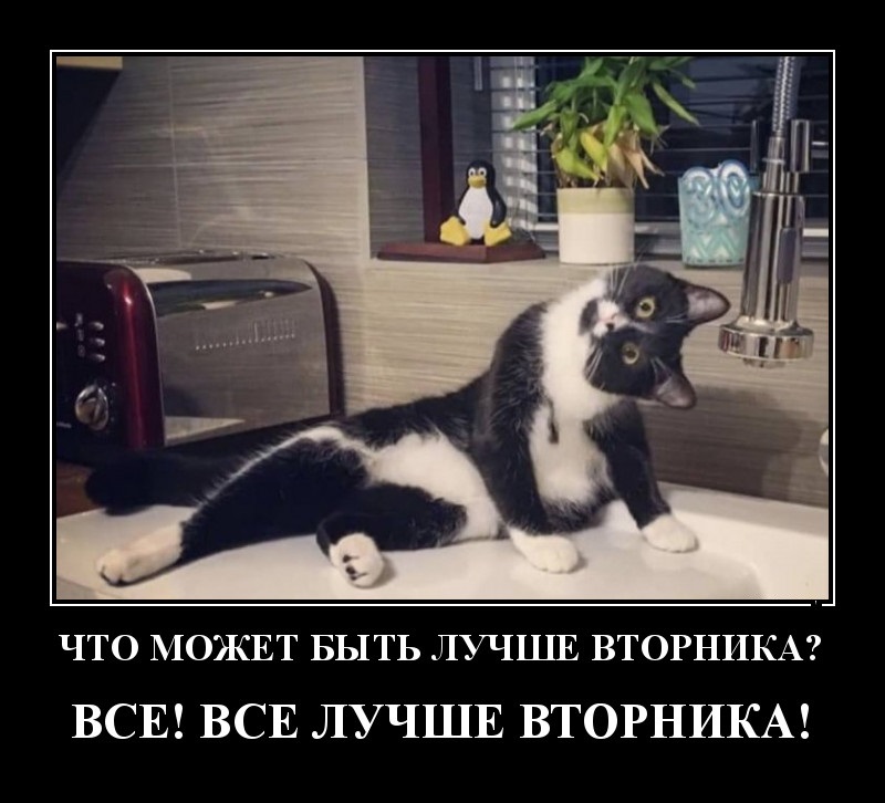 Свежие демотиваторы и что может быть лучше вторника?
