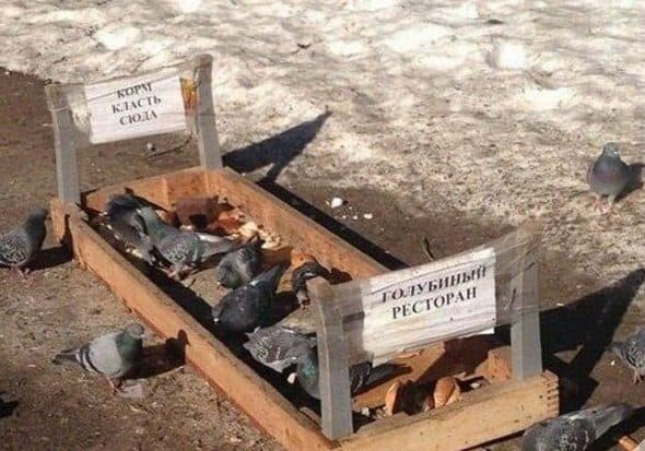 15 фотографий, которые могли быть сделаны только в России