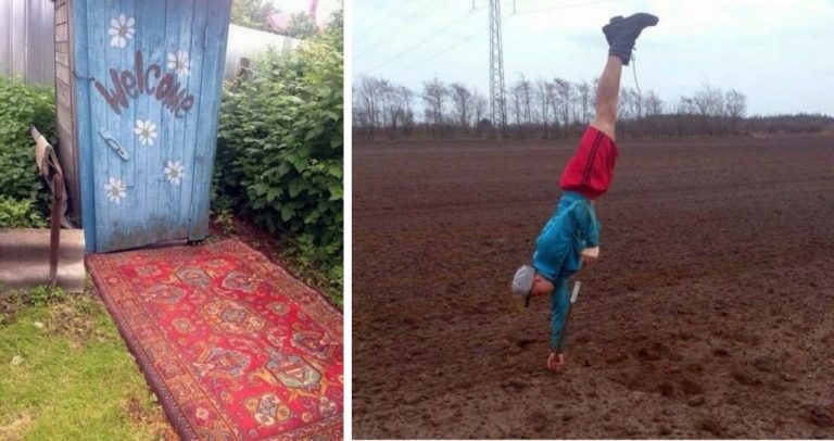 Лопата, рассада и… пинка!!! Подборка картинок про дачу