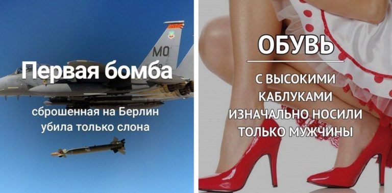 Факты, о которых вы не знали. И даже не спорьте!