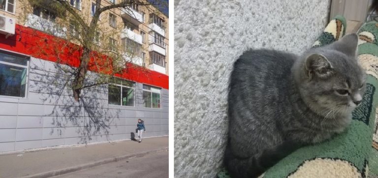 20 снимков, показывающий как реальный мир может глючить так же, как и компьютерная игра