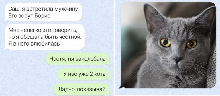 15 забавных переписок с неожиданным финалом